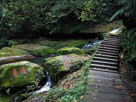 碧峰峽-風景優(yōu)美.jpg