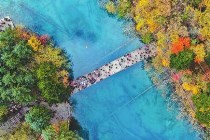 那個(gè)熟悉的九寨溝，回來(lái)了！