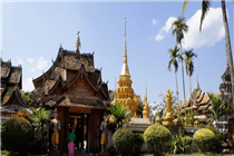向往的旅行，始于西雙版納