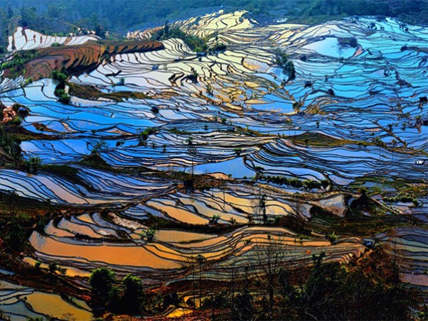 元陽(yáng)梯田4.jpg