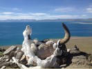 阿里A線：西藏阿里大北線“13日游”＜轉(zhuǎn)神山圣湖，穿越諸神景仰的圣地?。?></a></dt>
								<dd>
									<h3><a title=